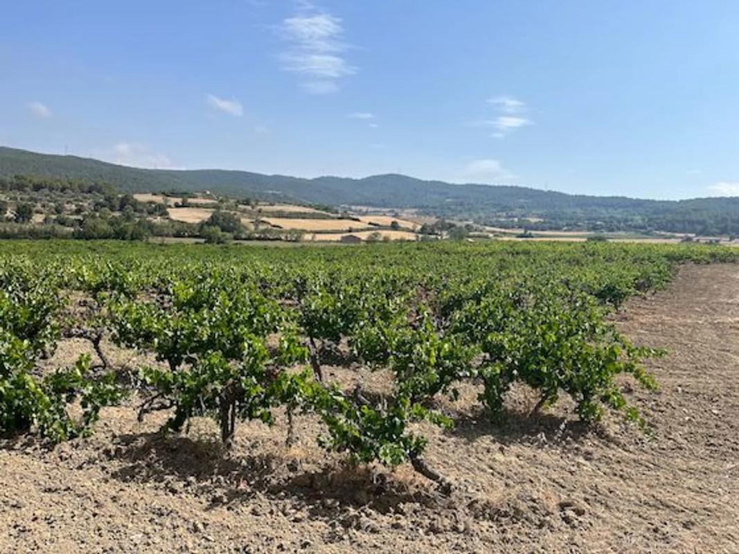 Terreno en venta en Llacuna, La, Barcelona photo 2
