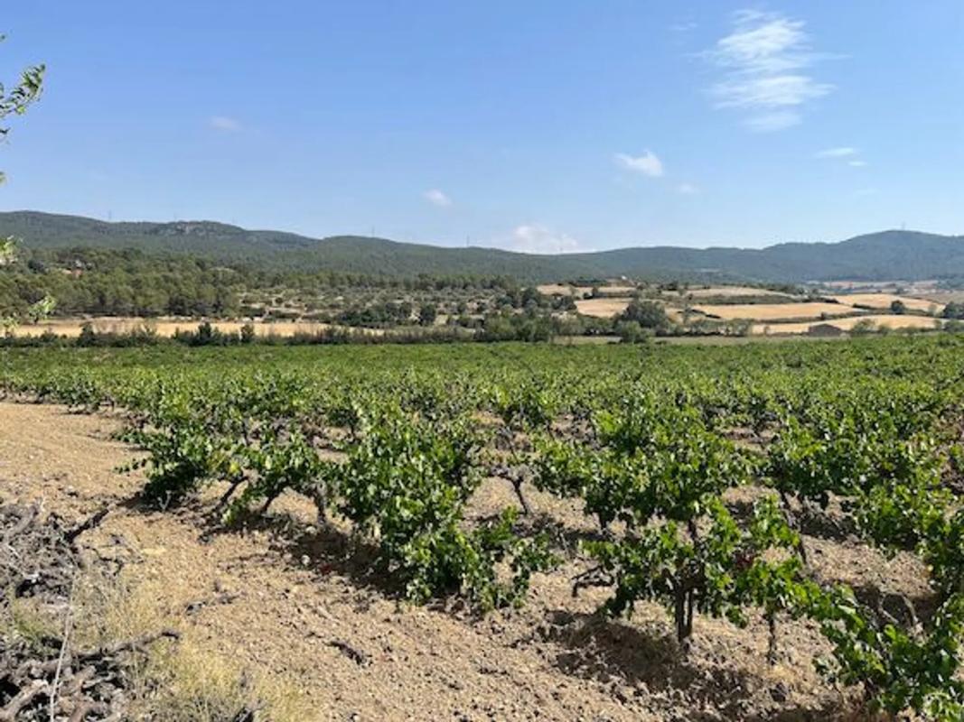 Terreno en venta en Llacuna, La, Barcelona photo 3