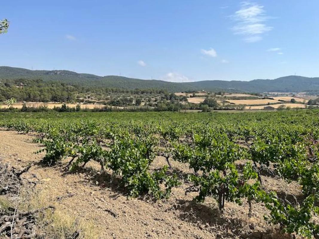 Terreno en venta en Llacuna, La, Barcelona photo 4