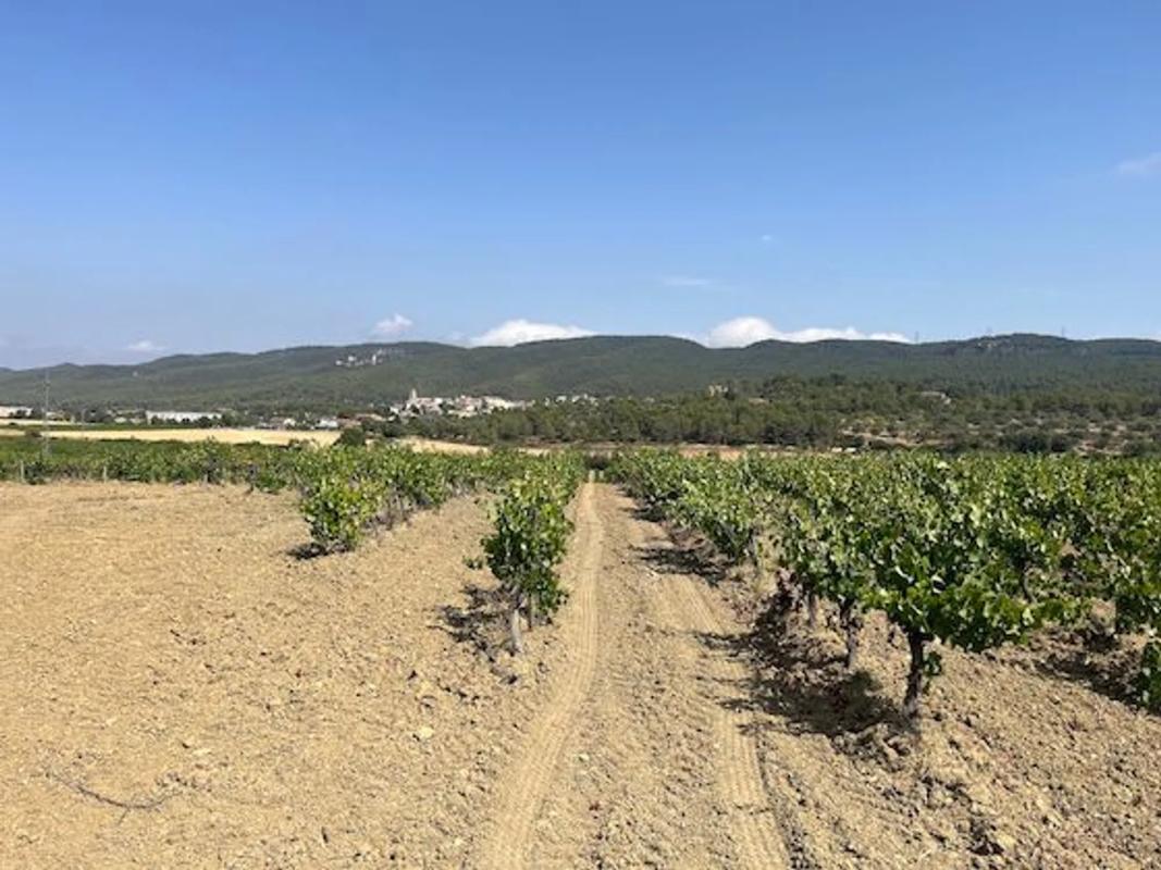 Terreno en venta en Llacuna, La, Barcelona photo 5