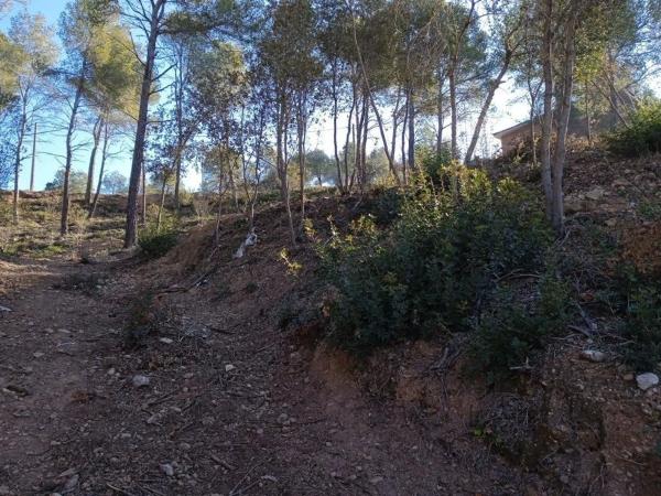 Terreno en Cabrera d'Anoia photo 2