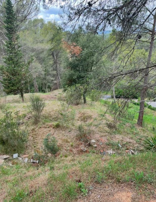 Terreno en venta en Masquefa, Barcelona photo 3