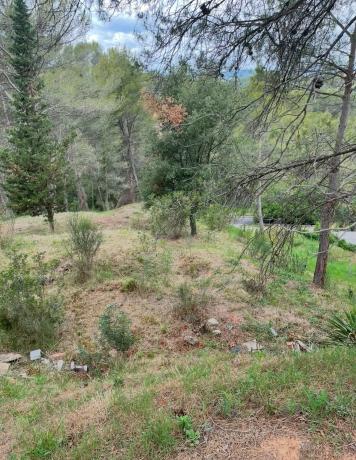 Terreno en calle pau claris s/n photo 3