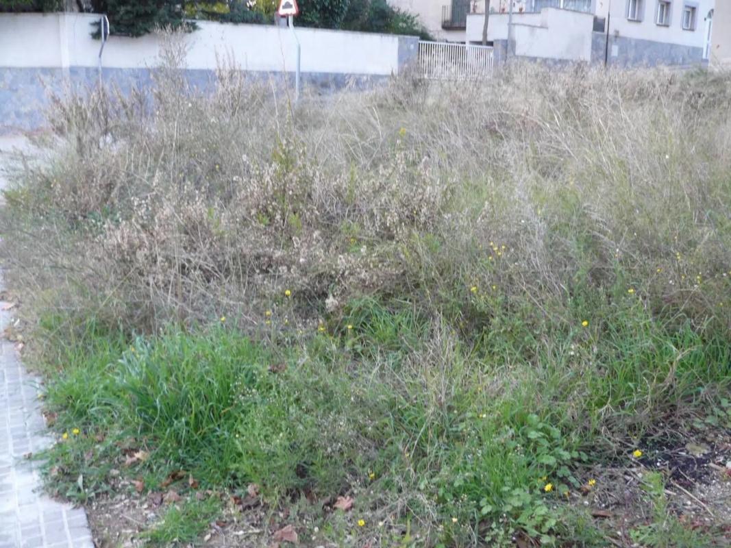 Terreno en venta en Pobla De Claramunt, La, Barcelona photo 4