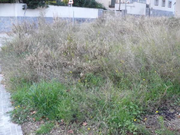 Terreno en La Pobla de Claramunt photo 4