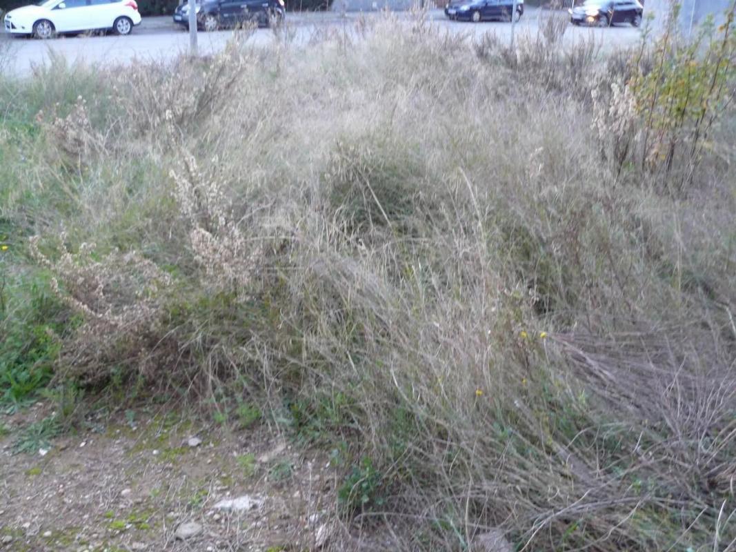 Terreno en venta en Pobla De Claramunt, La, Barcelona photo 5
