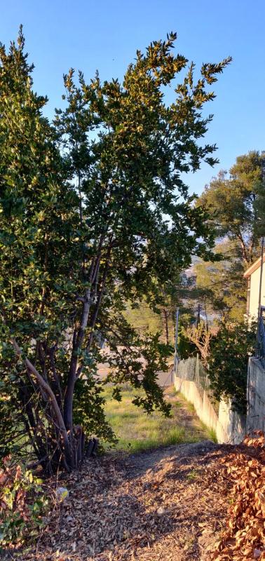 Terreno en venta en Masquefa, Barcelona photo 4