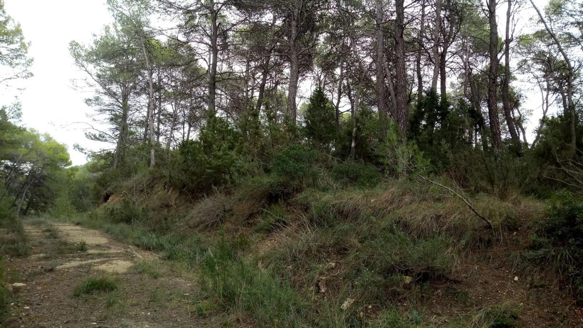 Terreno en venta en Llacuna, La, Barcelona photo 5