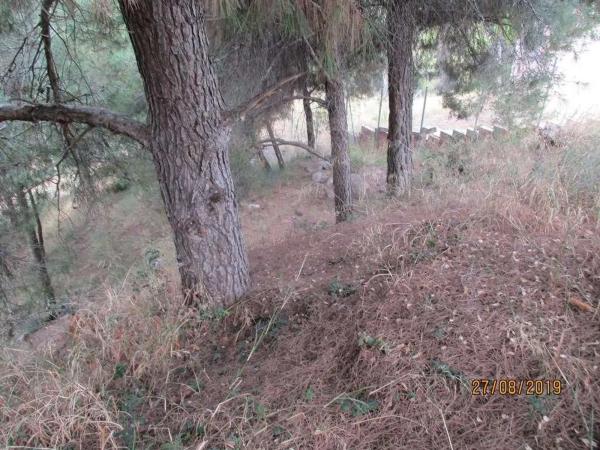 Terreno en avenida de L'Ermita de la Sala, 46 Parcela 46 photo 1