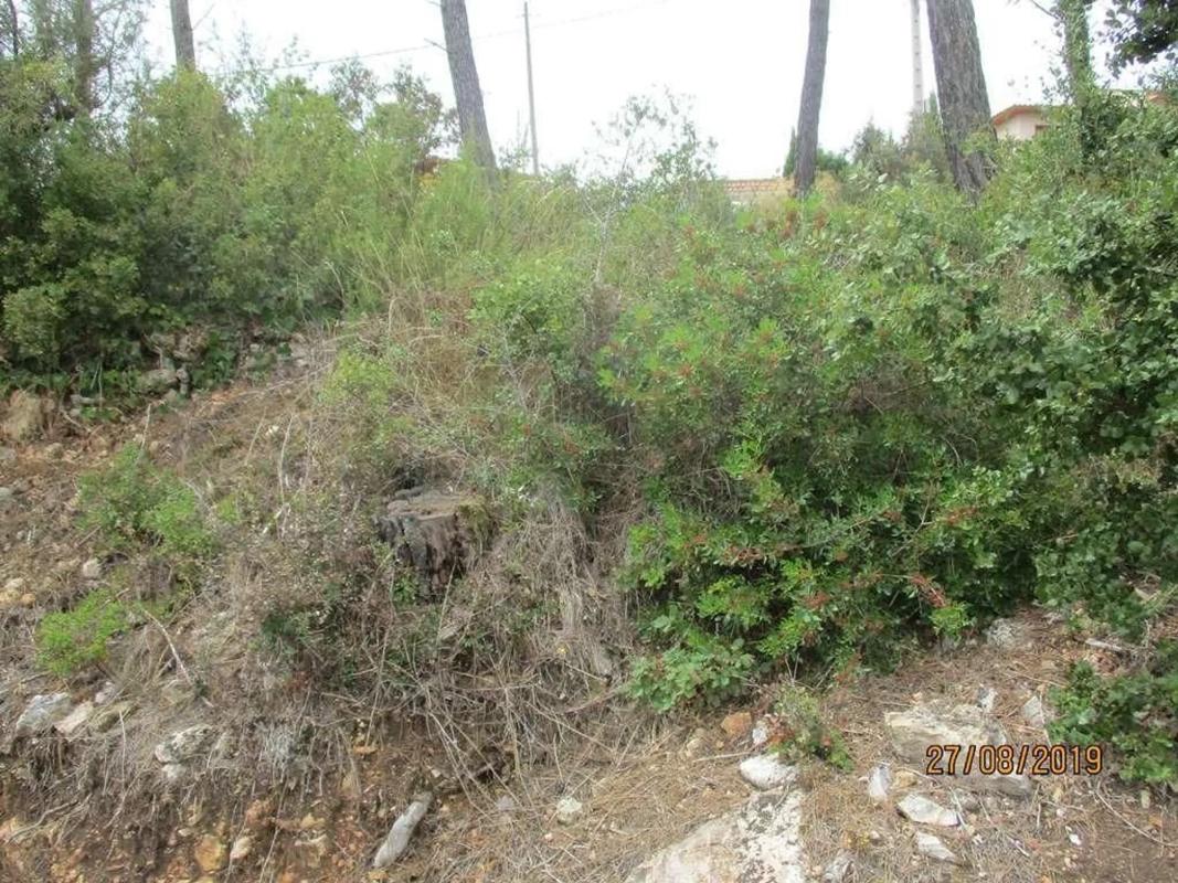 Land for sale in The Tower of Claramunt, Barcelona photo 1