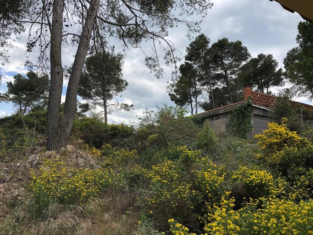 Terreno en venta en La Torre de Claramunt, Barcelona photo 4