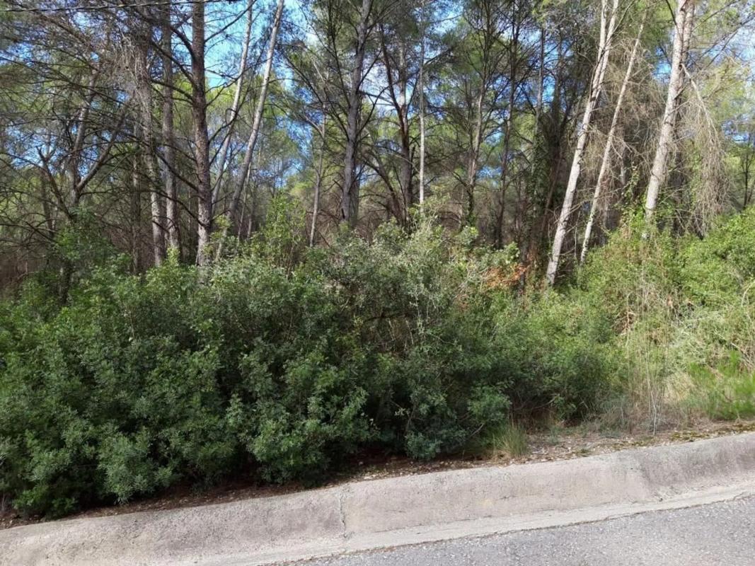 Land for sale in The Hostalets de Pierola, Barcelona photo 3
