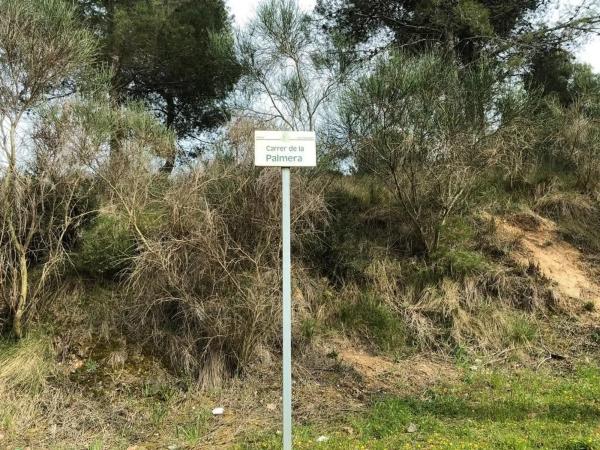Terreno en calle Cirerer photo 3