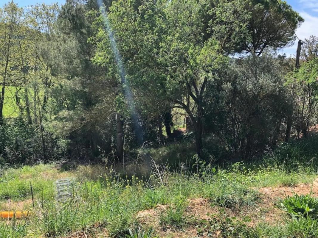 Land for sale in Cabrera de Anoia, Barcelona photo 3