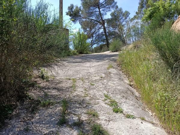 Terreno en avenida Pineda photo 2