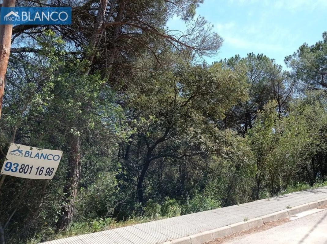 Land for sale in Cabrera de Anoia, Barcelona photo 2