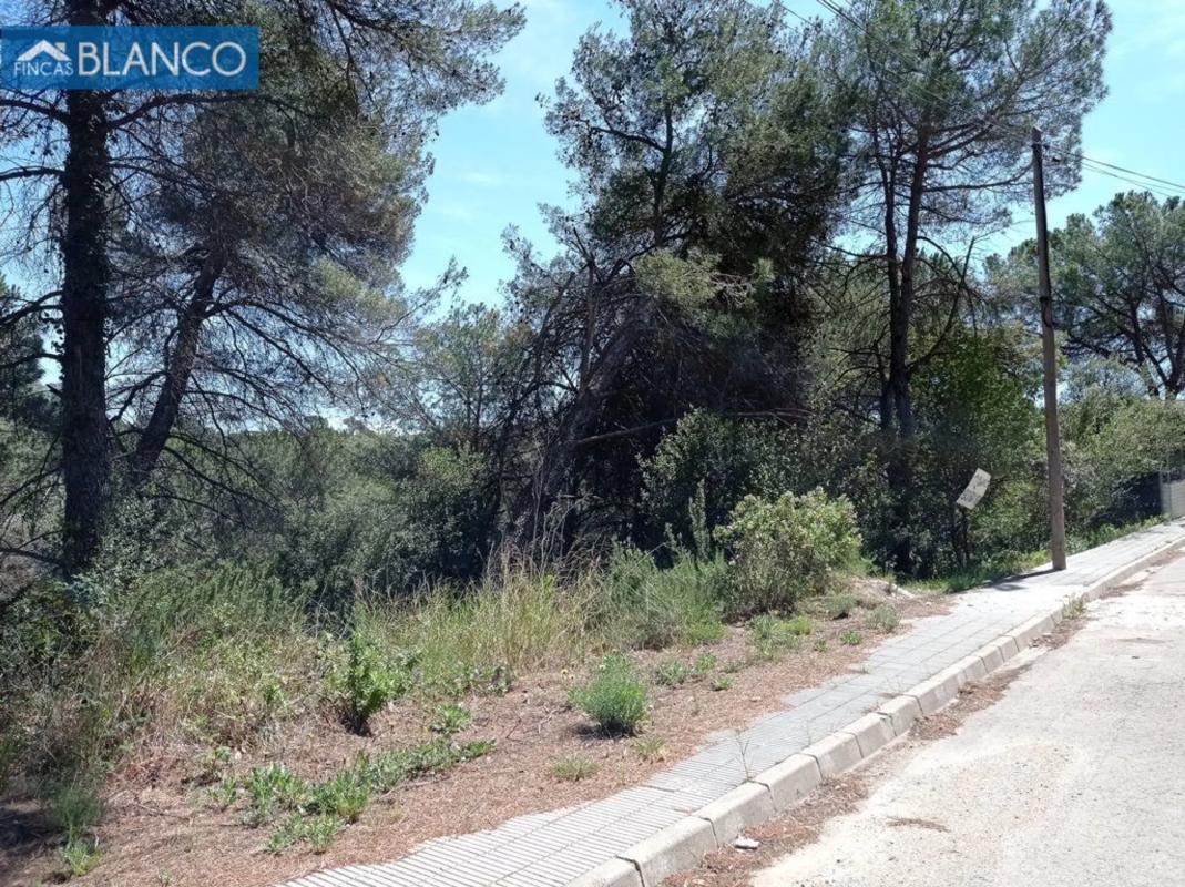 Land for sale in Cabrera de Anoia, Barcelona photo 3