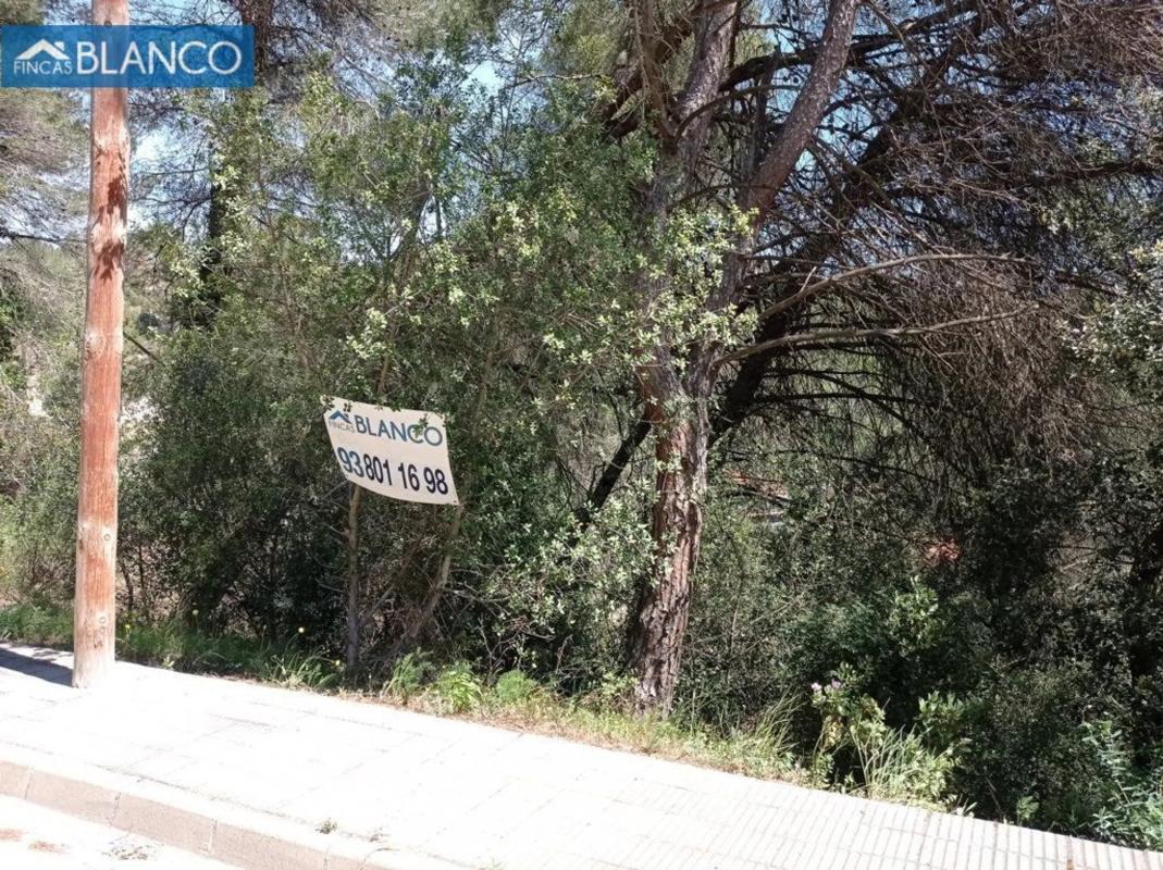 Land for sale in Cabrera de Anoia, Barcelona photo 4