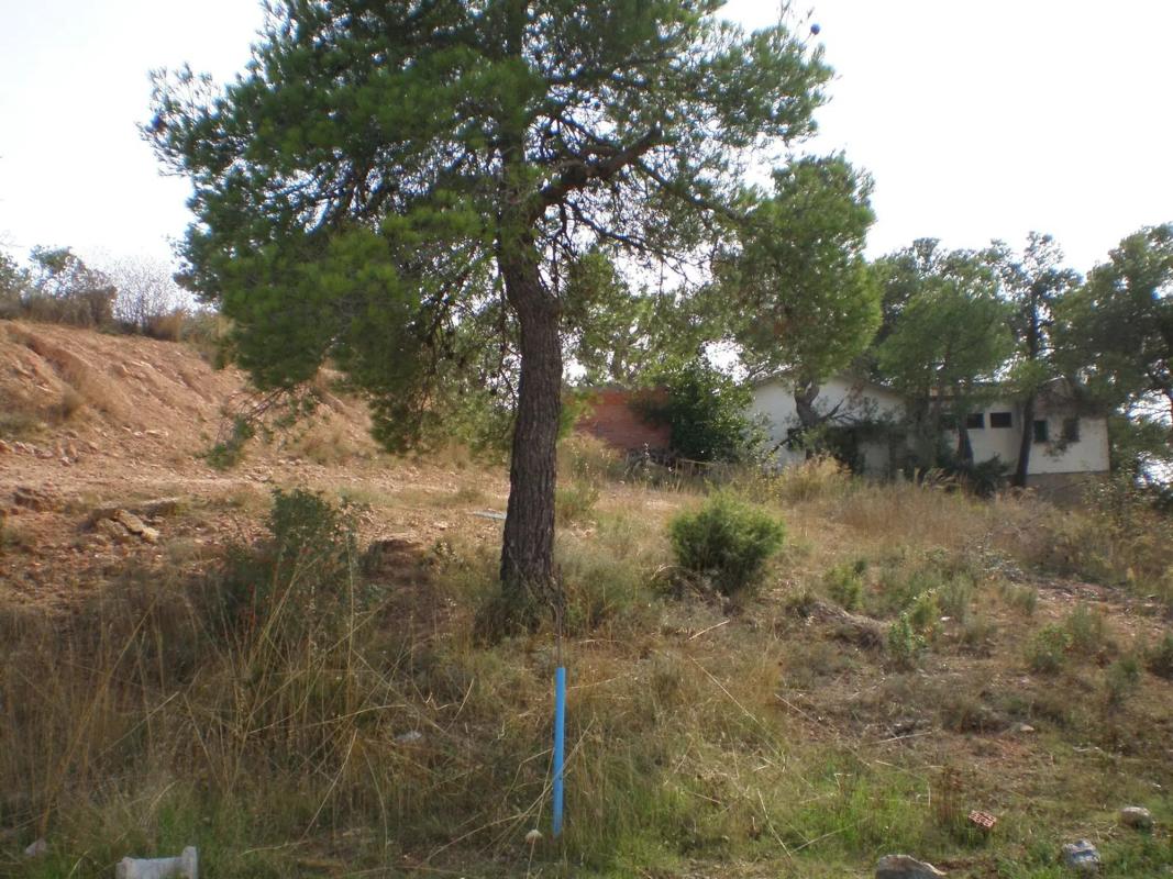 Terreno en venta en El Bruc, Barcelona photo 1