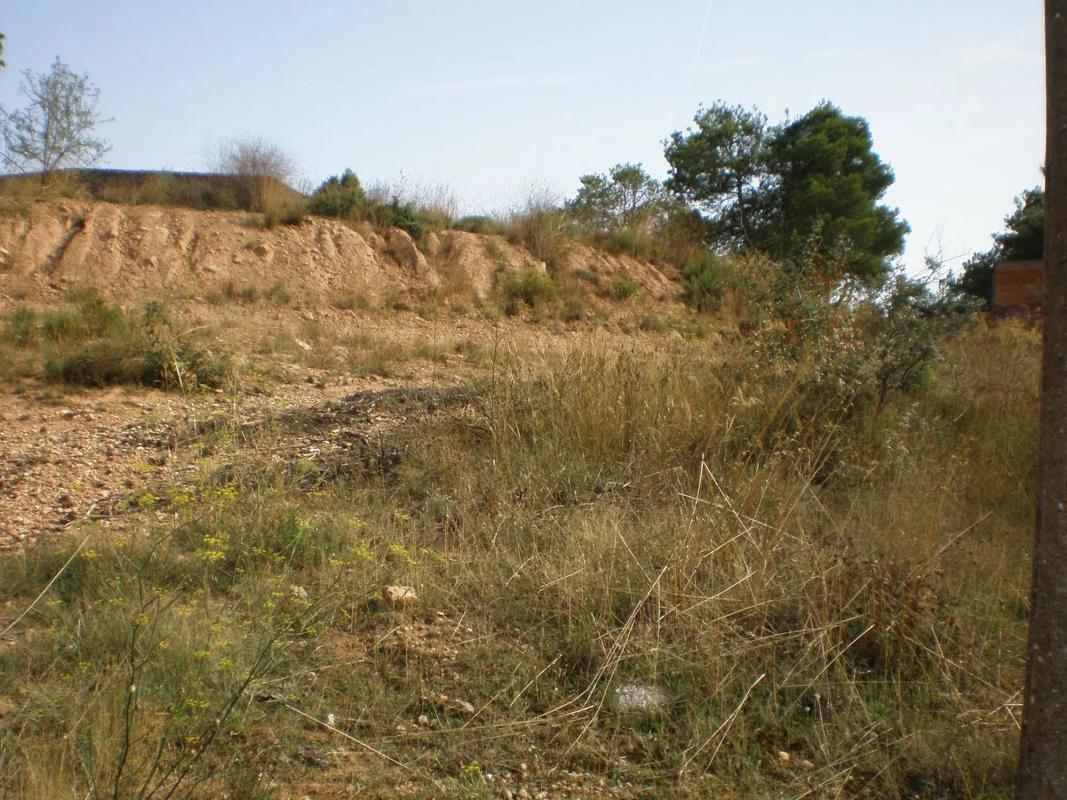 Terreno en venta en El Bruc, Barcelona photo 4