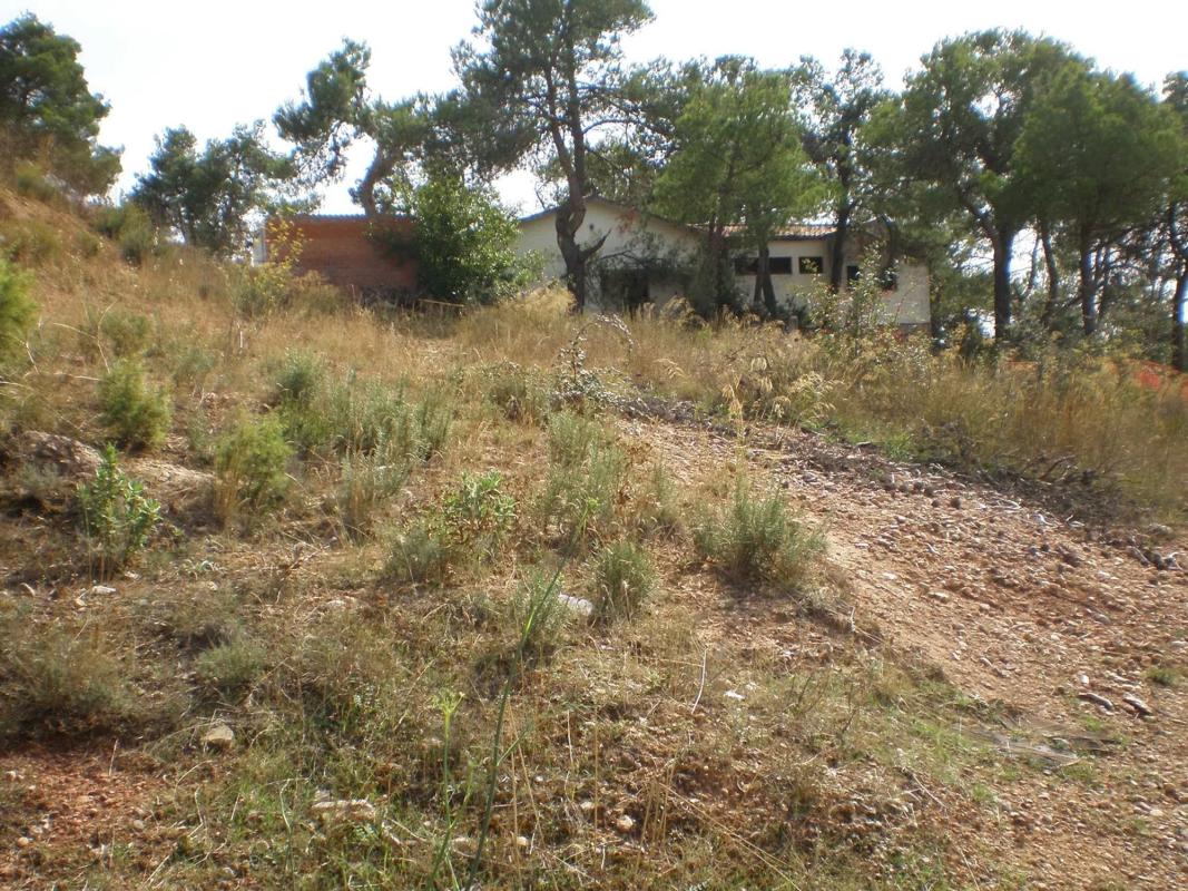 Terreno en venta en El Bruc, Barcelona photo 5