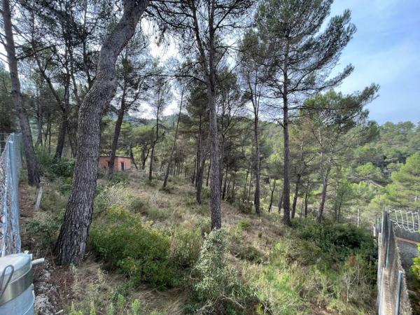 Terreno en calle Roures dels, 10 thumbnail 2