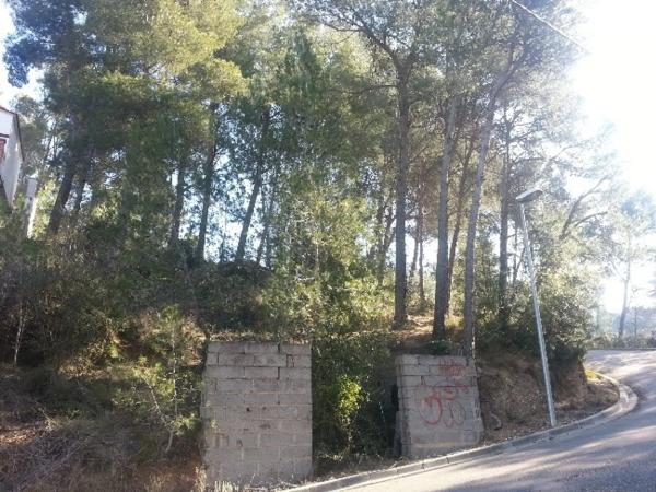 Terreno en Can Ros, 109 photo 1