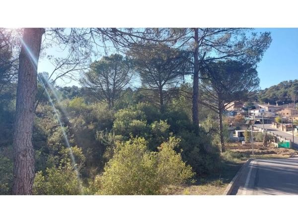 Terreno en calle Barcelona thumbnail 1