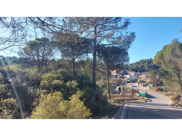 Terreno en calle Barcelona photo 3
