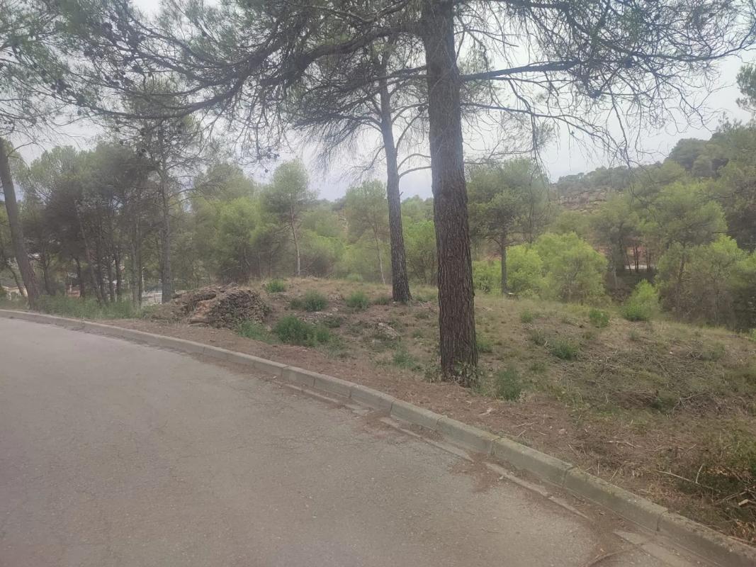 Terreno en venta en Pobla De Claramunt, La, Barcelona photo 2