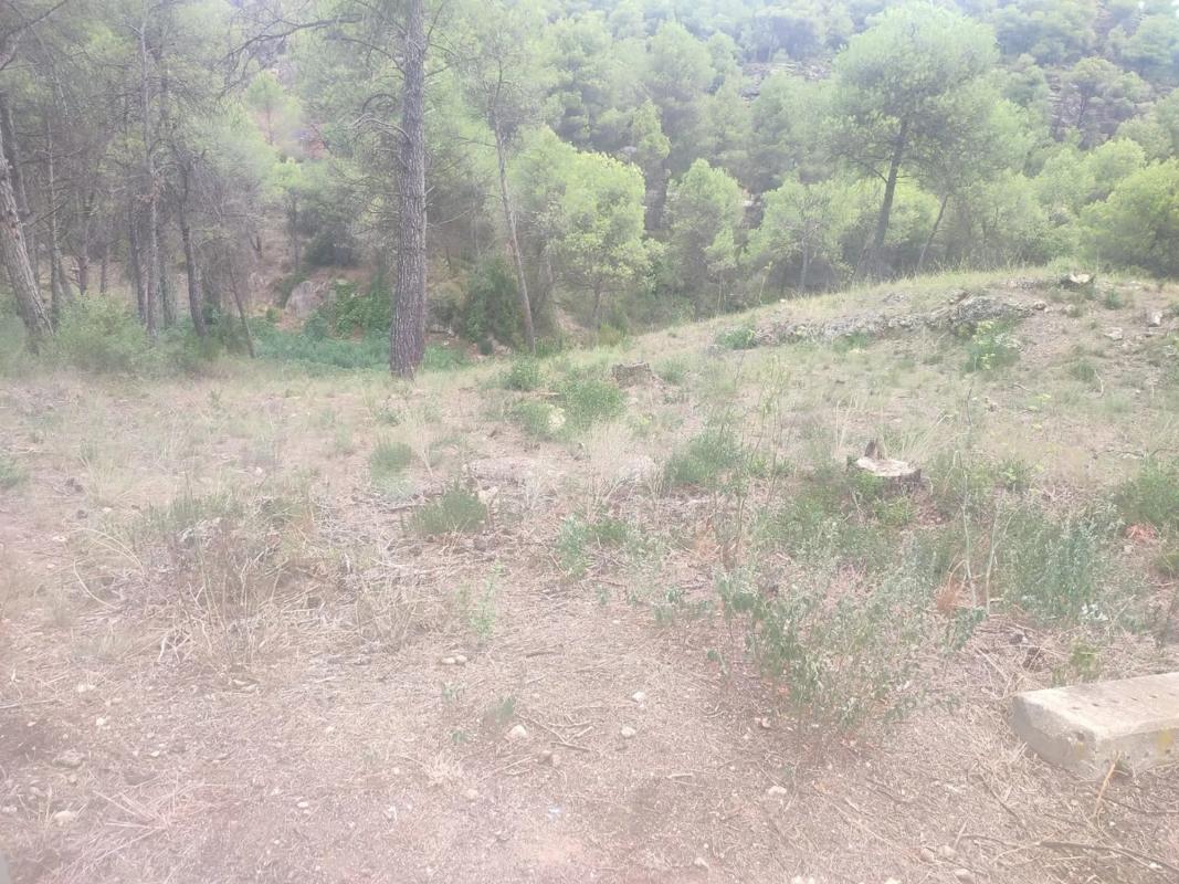 Terreno en venta en Pobla De Claramunt, La, Barcelona photo 4