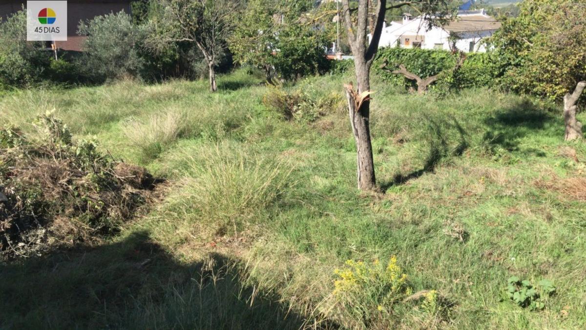 Land for sale in Cabrera de Anoia, Barcelona photo 5