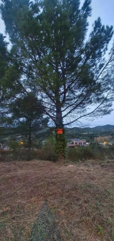 Land for sale in Carme, Barcelona photo 4