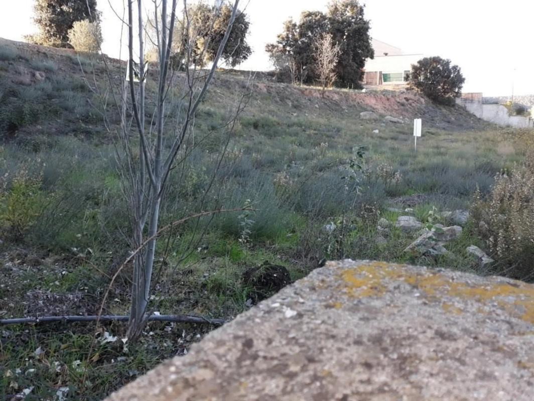 Terreno en venta en Jorba, Barcelona photo 1