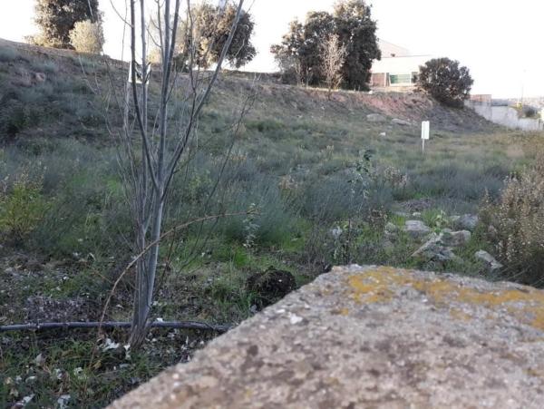 Terreno en Jorba photo 1