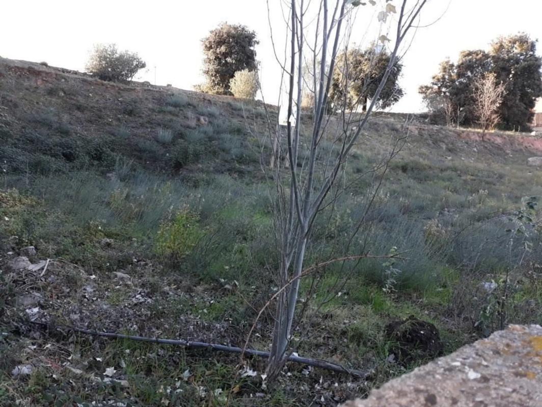 Terreno en venta en Jorba, Barcelona photo 3