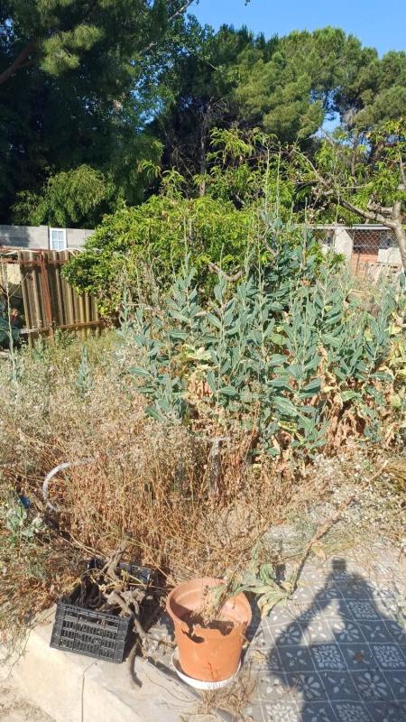 Land for sale in Piera, Barcelona photo 4