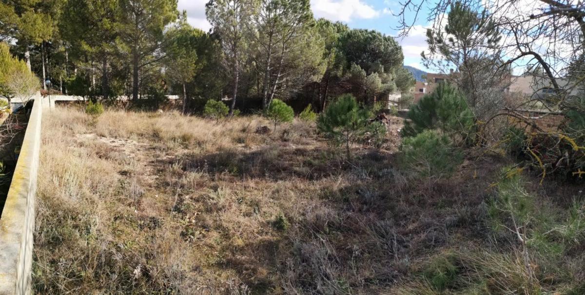 Terreno en venta en Pobla De Claramunt, La, Barcelona photo 2