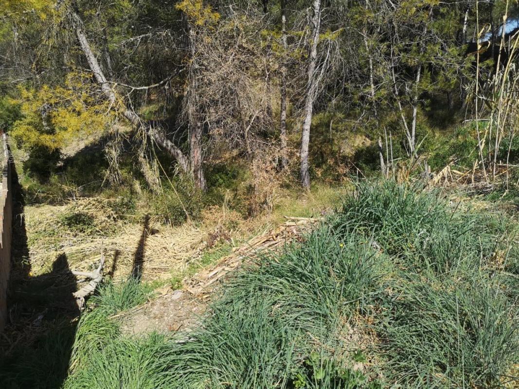Terreno en venta en Pobla De Claramunt, La, Barcelona photo 1