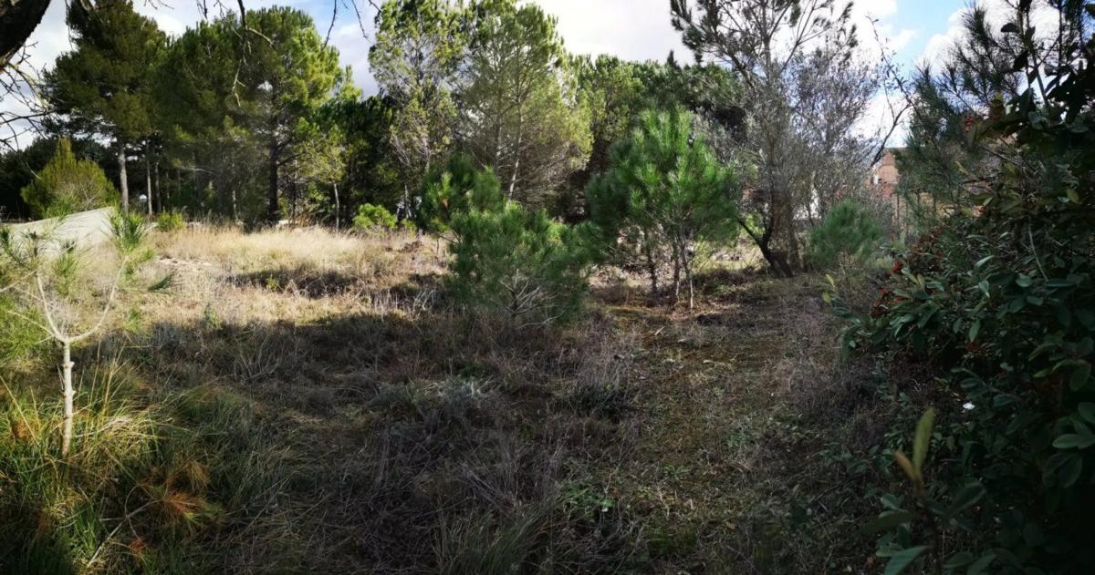 Terreno en venta en Pobla De Claramunt, La, Barcelona photo 3
