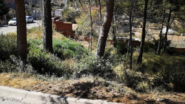 Terreno en La Pobla de Claramunt photo 3