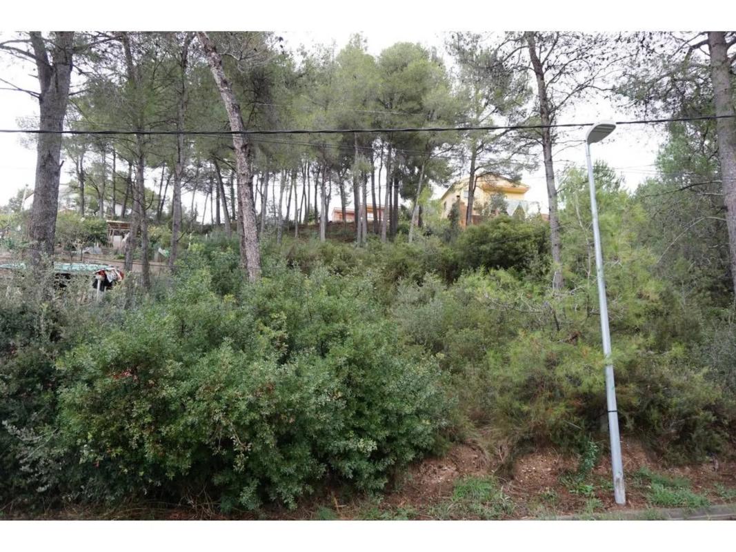 Terreno en venta en Cabrera d'Anoia, Barcelona photo 1