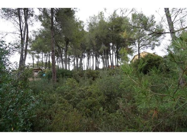 Terreno en calle L'Estartit photo 3