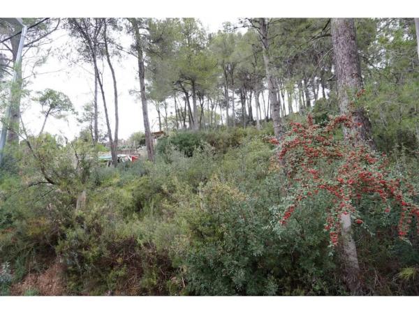 Terreno en calle L'Estartit photo 4