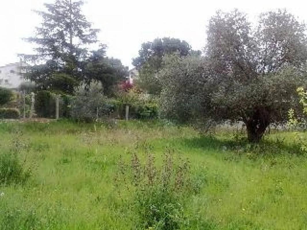 Terreno en venta en Masquefa, Barcelona photo 2
