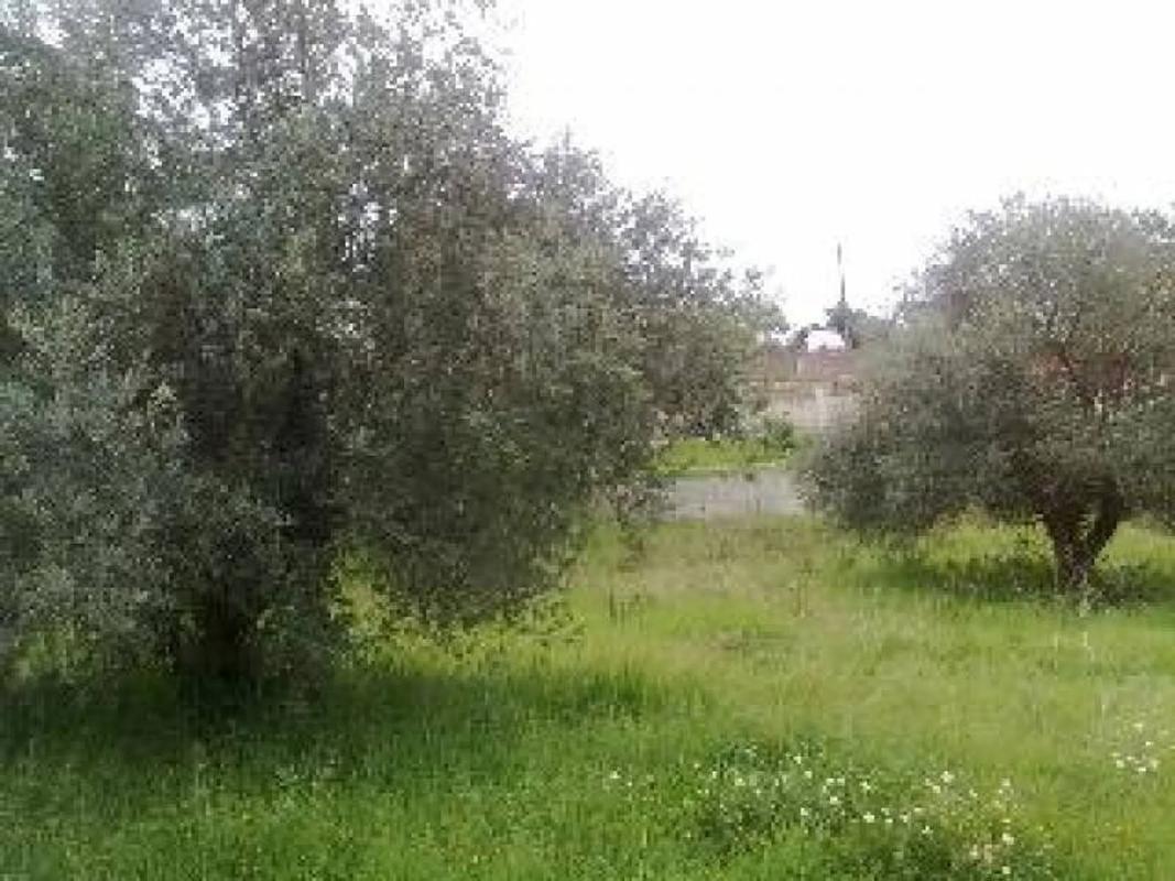 Terreno en venta en Masquefa, Barcelona photo 4