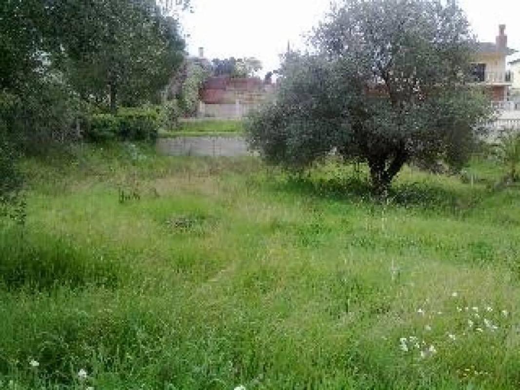 Terreno en venta en Masquefa, Barcelona photo 5