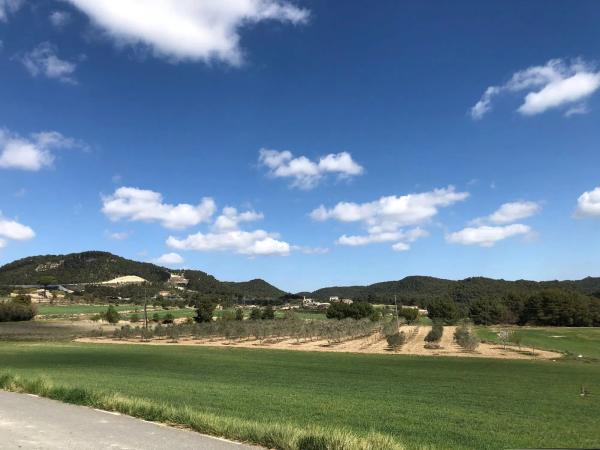Terreno en riera de castelloli s/n photo 1