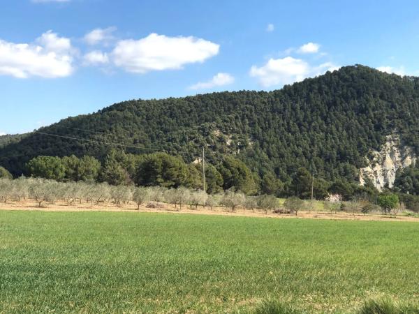 Terreno en riera de castelloli s/n thumbnail 1