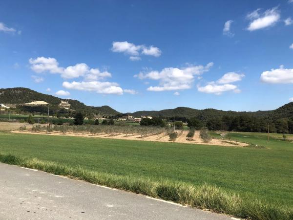Terreno en riera de castelloli s/n photo 3